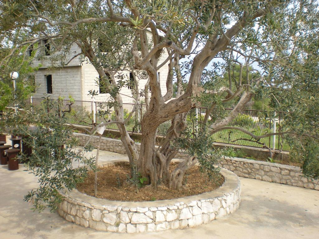 Apartments Jelica Slatine Luaran gambar